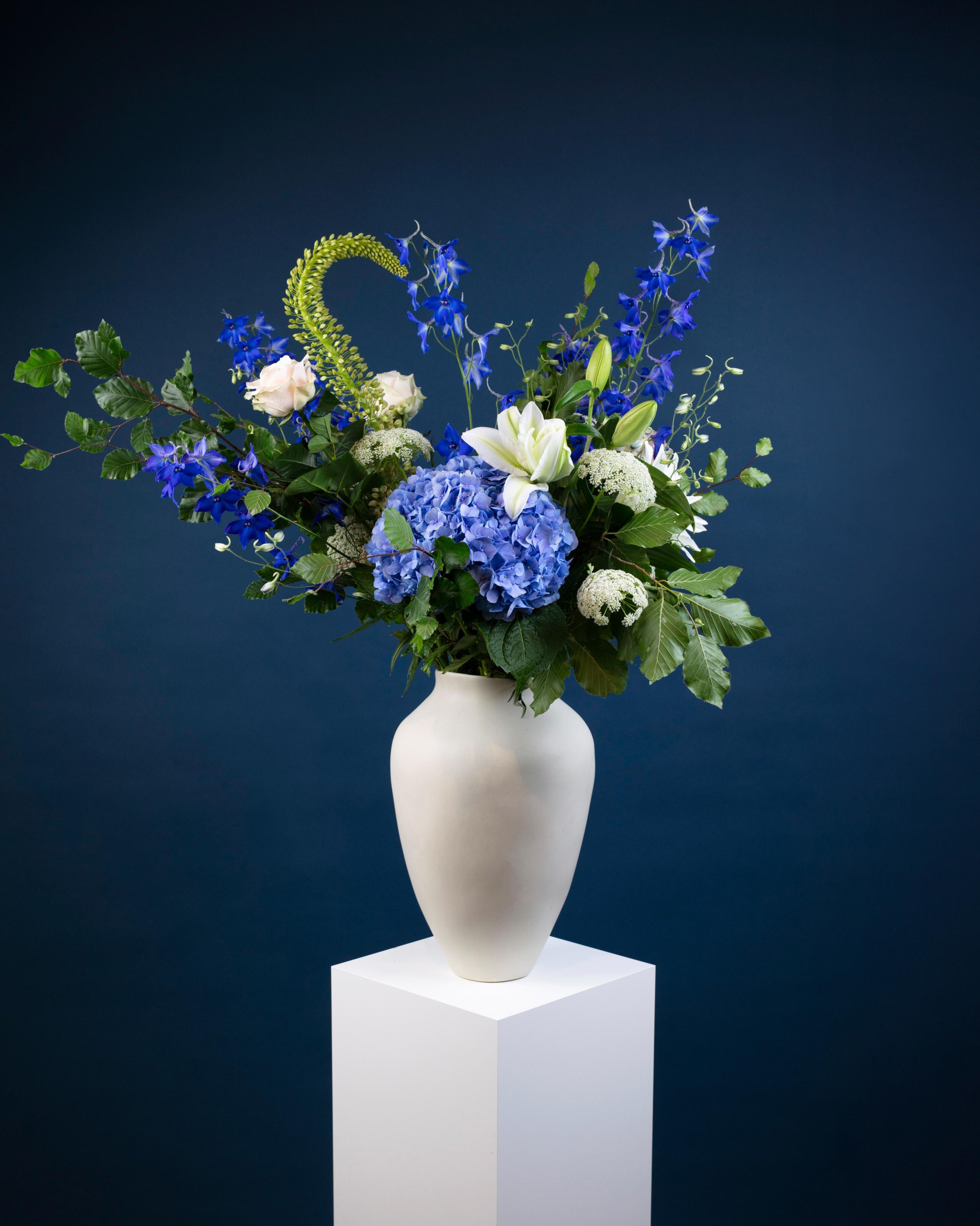 Blue & White Harmony