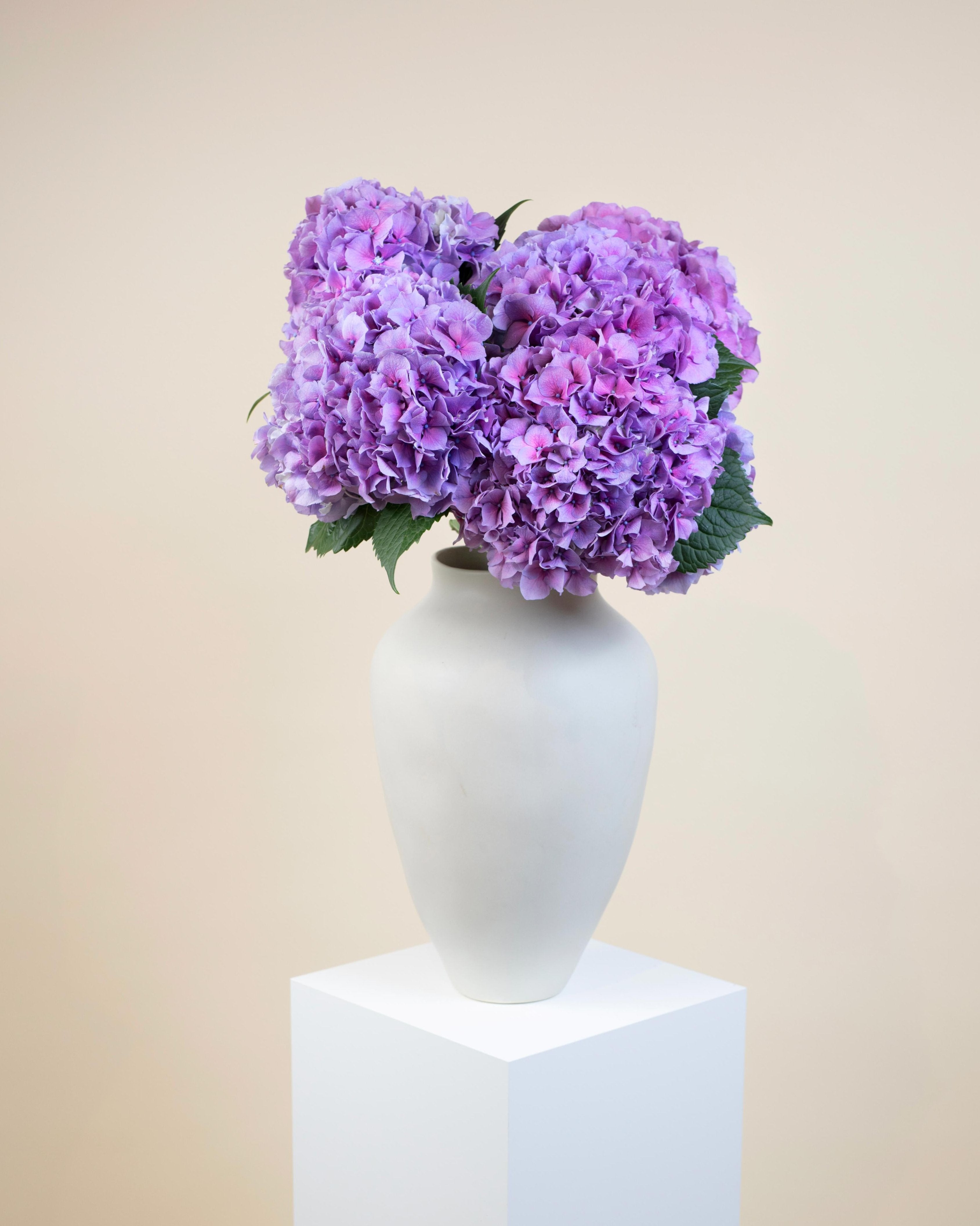 Hydrangeas Bouquet