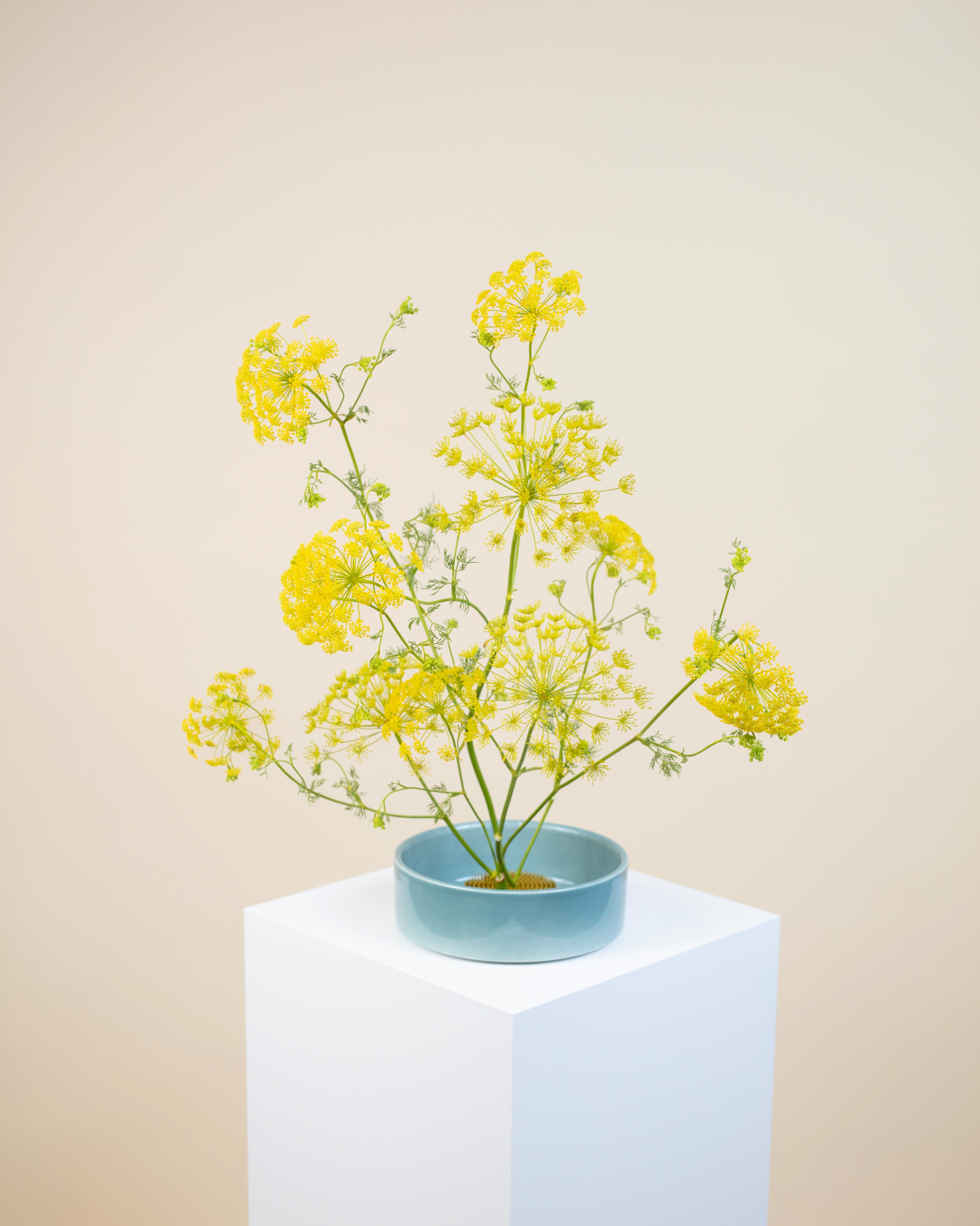 Ikebana Blue Set with Yellow Flowers