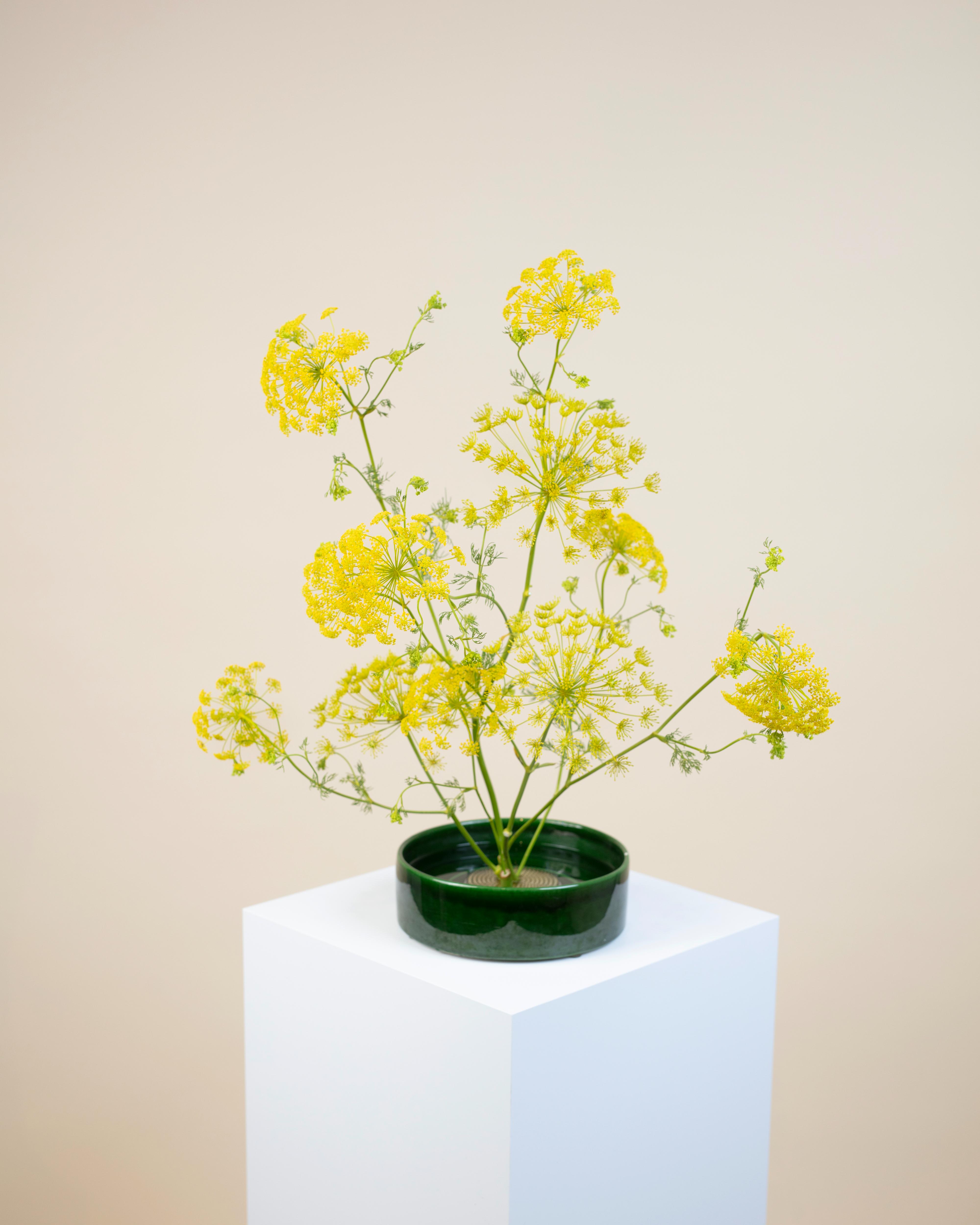 Ikebana Green Set with Yellow Flowers