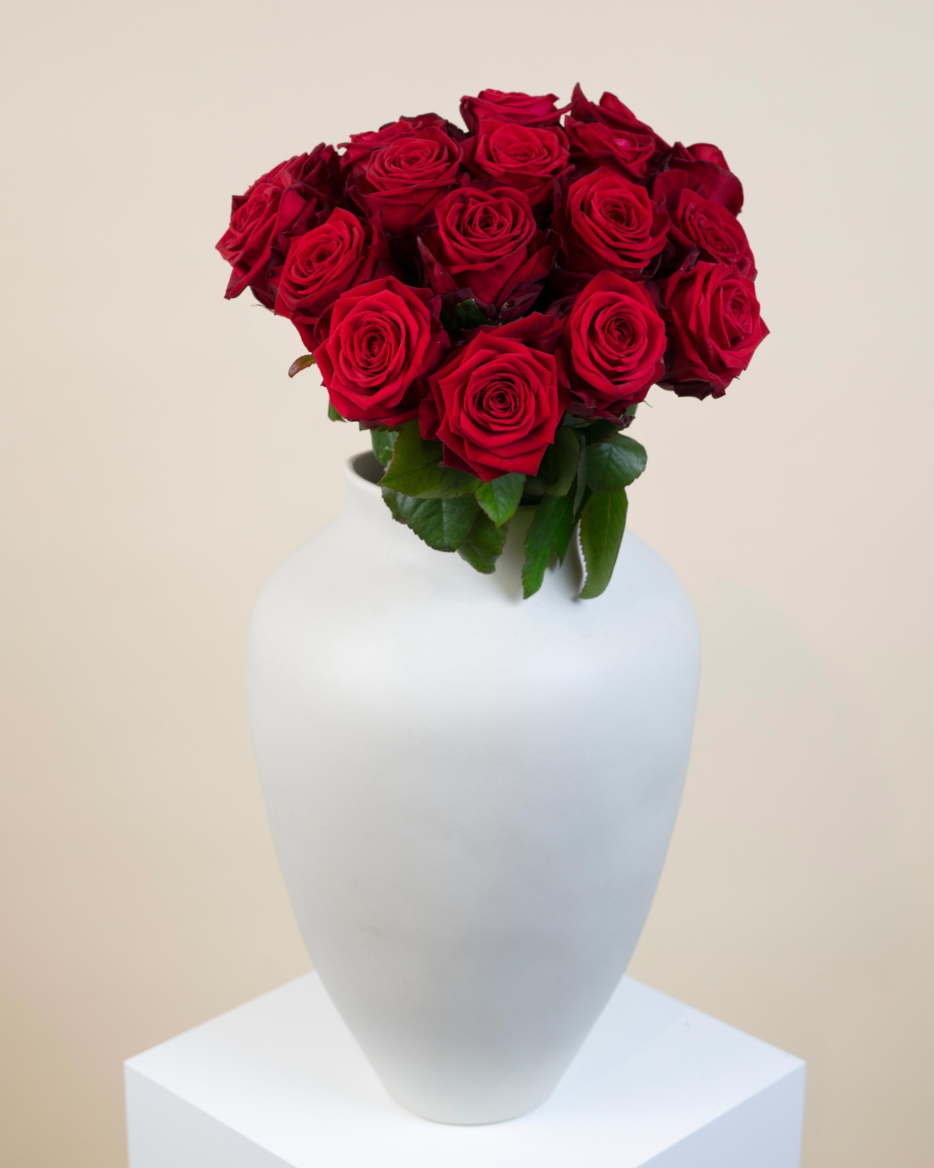 Dozen Red Roses & Champagne Bundle