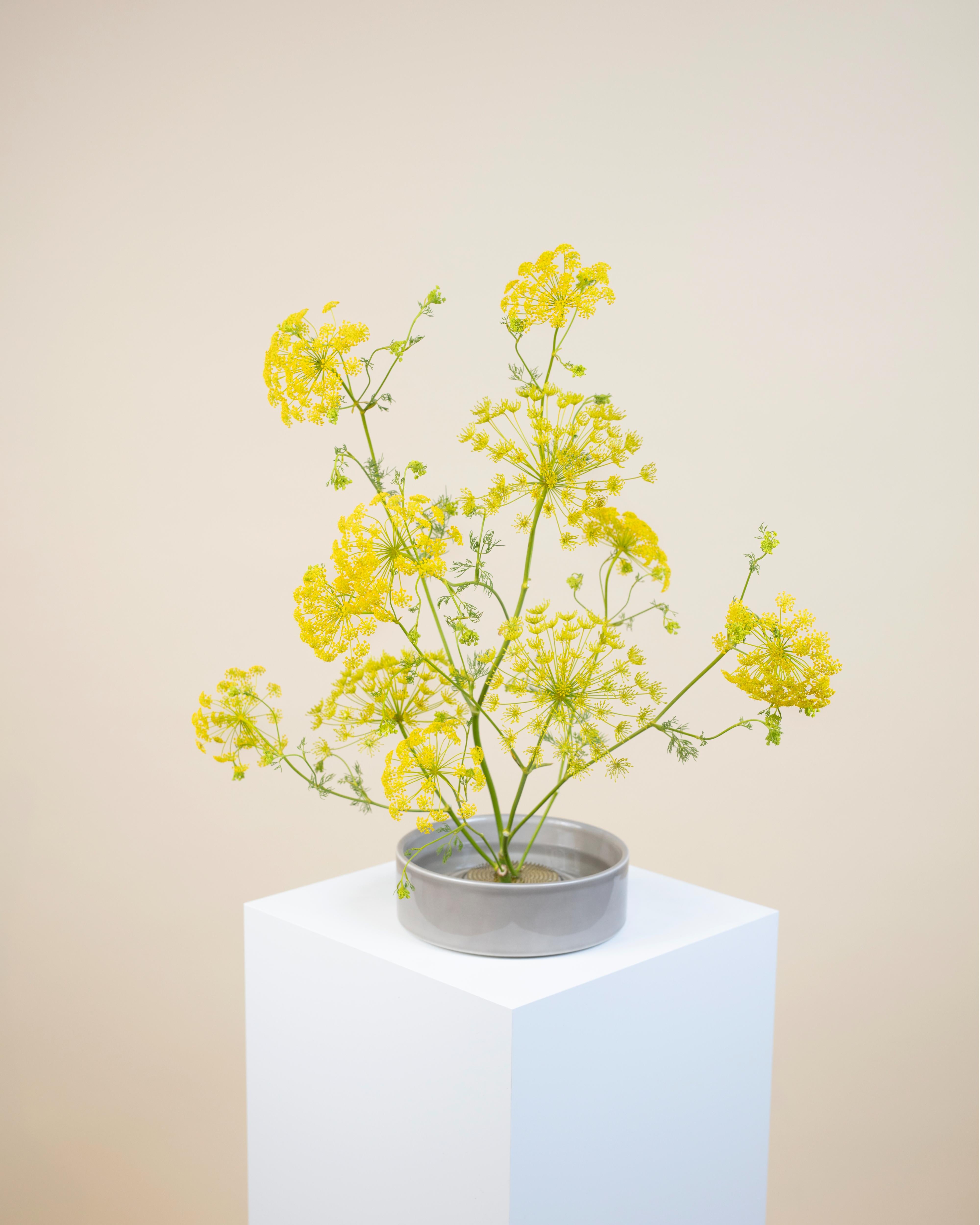 Ikebana Grey Set with Yellow Flowers 