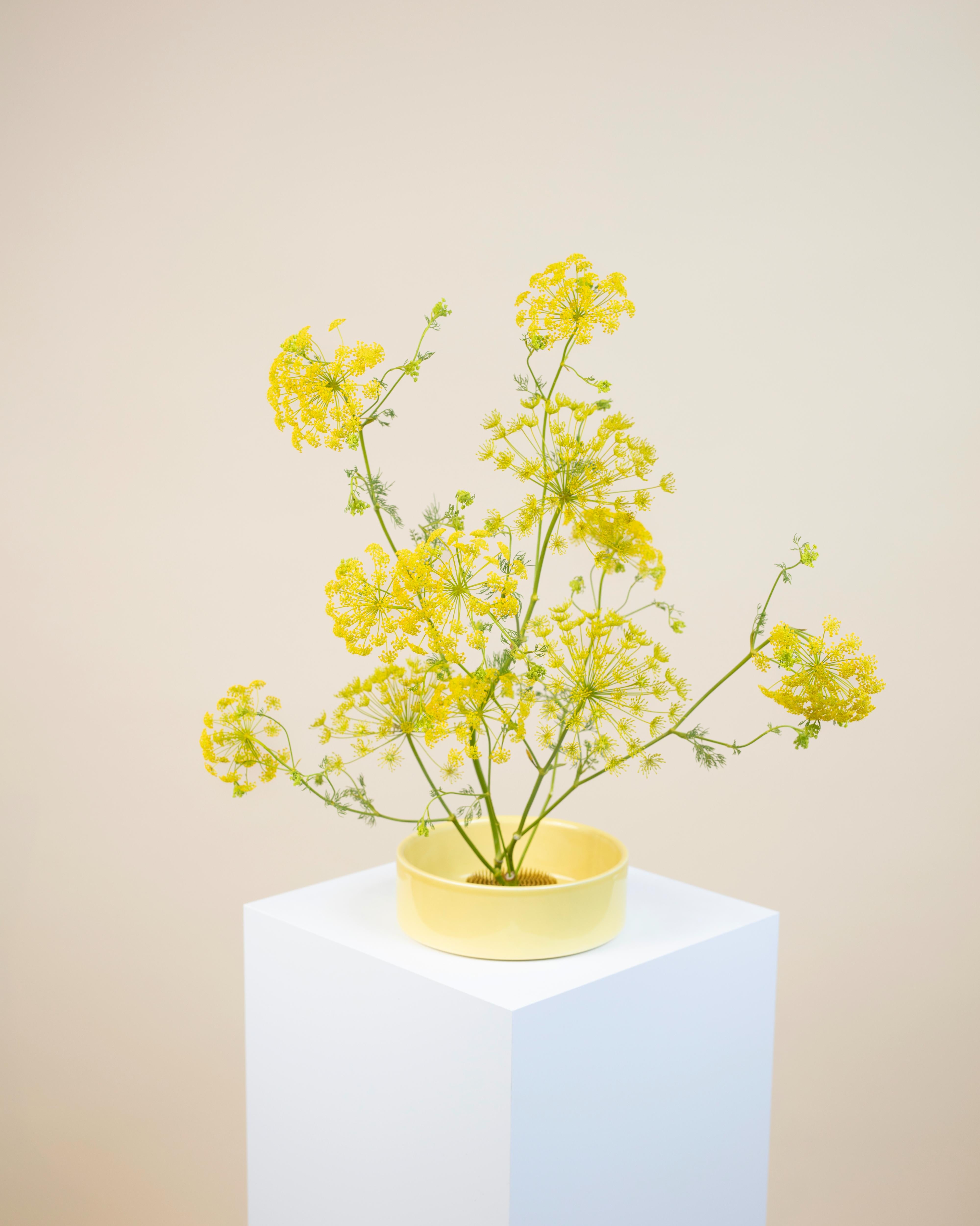 Ikebana Yellow Set with Yellow Flowers